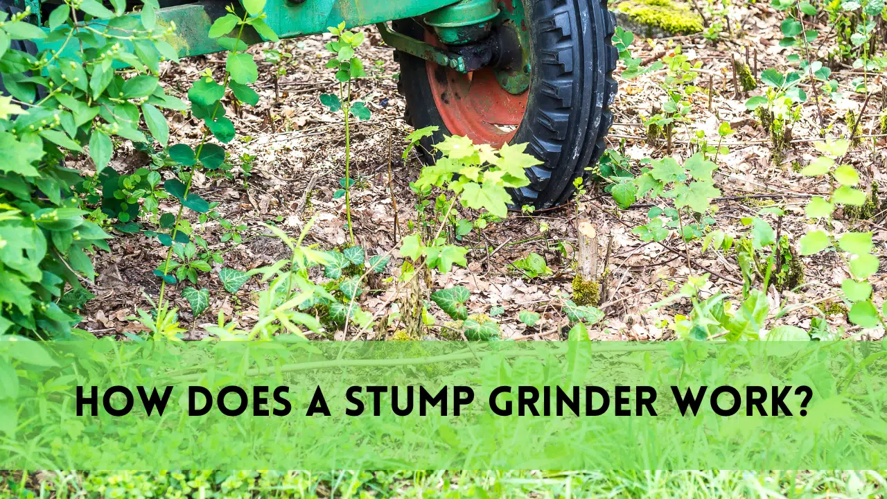 Stump grinder